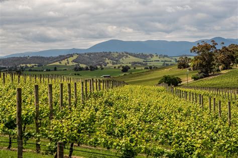 Yarra Valley Food And Wine Tour With Lunch From Melbourne 2021