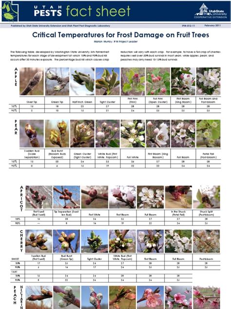 Ebay.com has been visited by 1m+ users in the past month Critical Temperatures Frost Damage Fruit Trees Utah ...