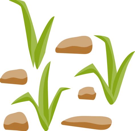 Grasses Rock Grass Gis Computer Icons Diagram Clip Art Png Download