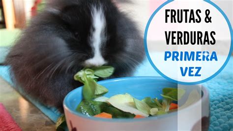 Verduras Y Frutas Para Conejos C Mo Darlas Por Primera Vez Youtube