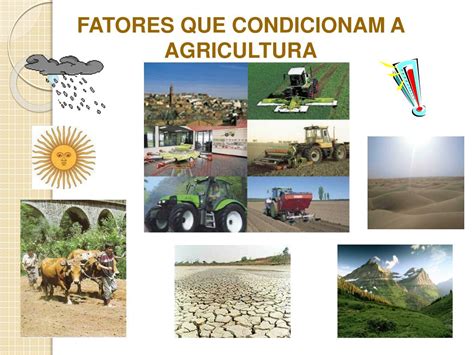 Apresente Os Fatores Que Caracterizam A Agricultura Moderna Na Atualidade.