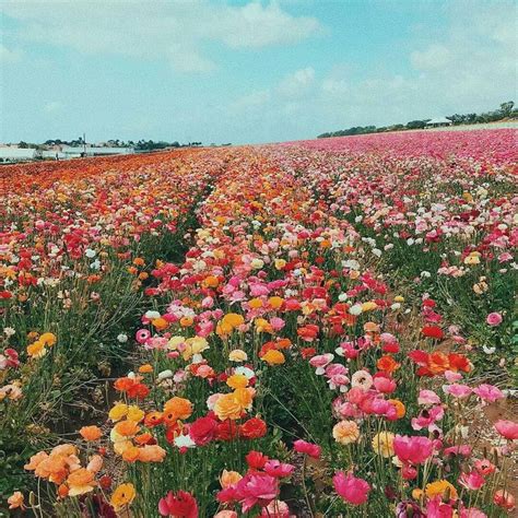 Maybe you would like to learn more about one of these? Bom dia Canvas Lover! Sextou!!! Imagem por @designlovefest ...