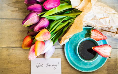 Download Wallpapers Good Morning Bouquet Of Tulips Spring Flowers