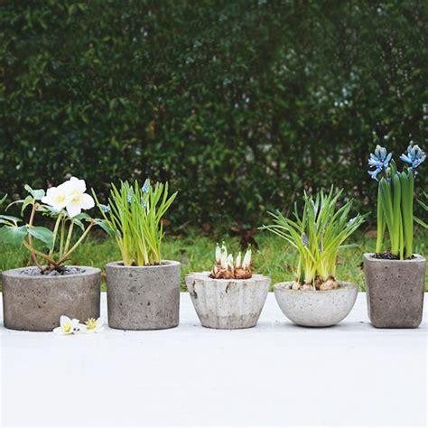 (make sure you get cement and not concrete mix). Viva Cindy: DIY: Cement Planters