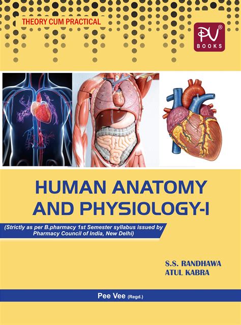 Fetch Anatomy And Physiology Of Human Body Free Images