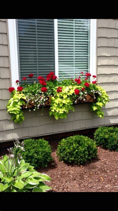 30 Best Flowers Plant For Window Boxes 2019 Window Box