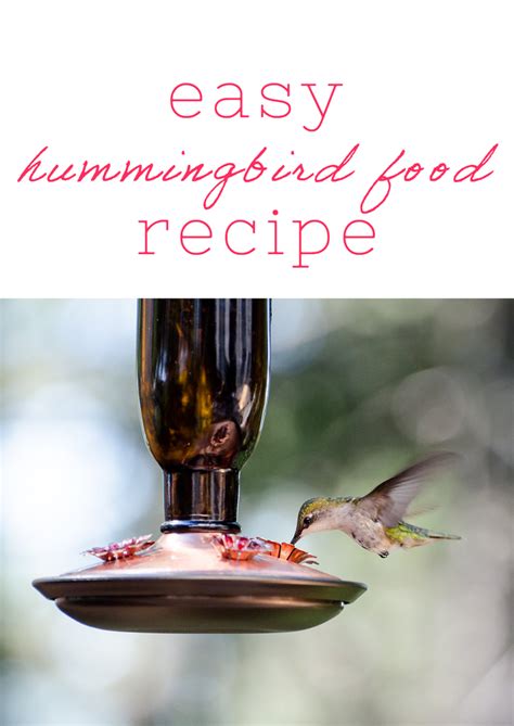 Easy Hummingbird Food Recipe — The Classic Vintage Hummingbird Food