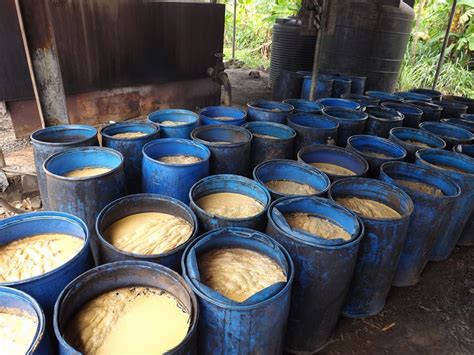 You have probably heard the news about the central bank of nigeria … Photos Of Suspects Arrested At The Illegal Brewery ...