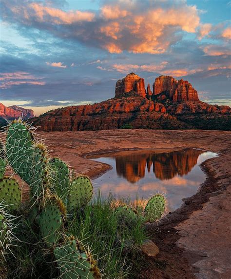 On Pins And Needles Cathedral Rock Reflects In A Rainwater Pool At