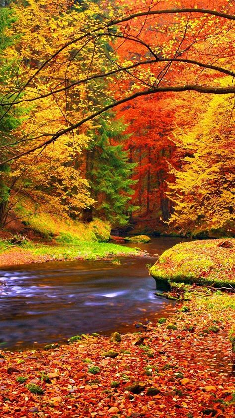 35 Best Iphone Screen Lock Wallpaper Funmary Autumn Scenery