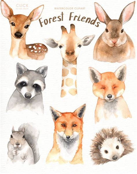 We did not find results for: Forest Friends Watercolor Clip ArtWoodland Animals Kids | Etsy | Animal illustration, Forest ...
