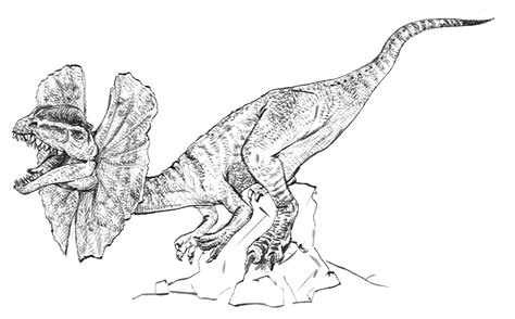 Dilophosaurus Coloring Page Free Printable Coloring P Vrogue Co