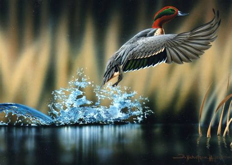 Download and use 50,000+ cool wallpaper stock photos for free. Wildlife Wallpaper - HD Wallpapers