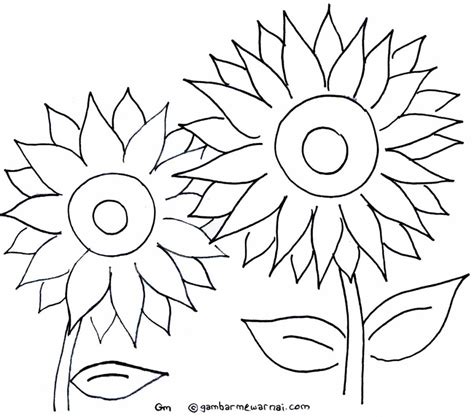 Bunga matahari terdiri dari sejumlah varietas , mulai dari yang kecil hingga yang sangat besar, dari yang memiliki kelopak kuning hingga merah. Mewarnai Gambar Bunga Matahari - Gambar Mewarnai