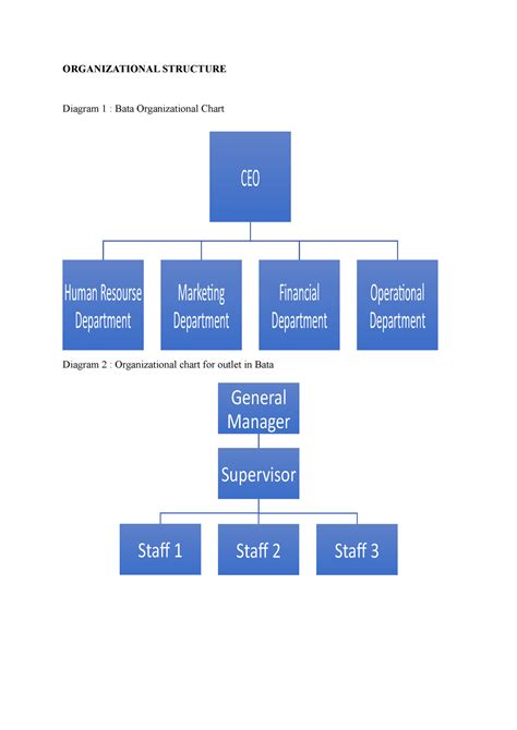 Ent300 Case Study Assignment Organizational Structure Diagram 1