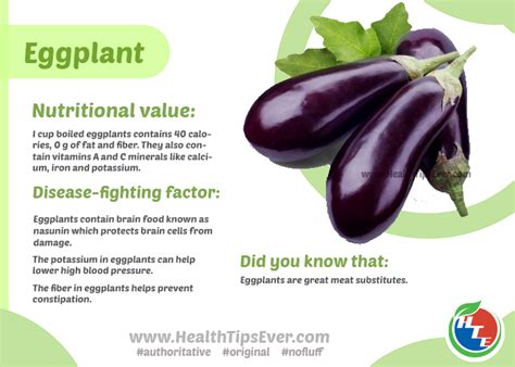 eggplant nutritional value with infograph health tips ever magazine