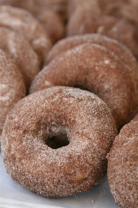 Verkopers helpen om hun publiek te begrijpen. Homemade Apple Cider Donuts Recipe | A Farmgirl's Kitchen