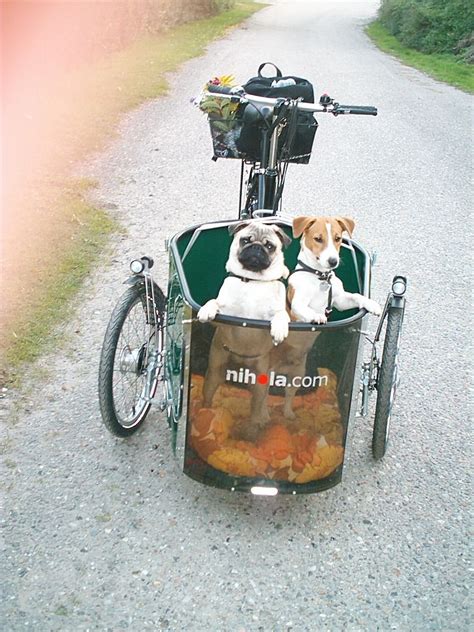 Many dog owners are on the go often with work, recreation and just simply day to day life. /pippin-and-zidan-october-2005.JPG | Biking with dog, Dog ...
