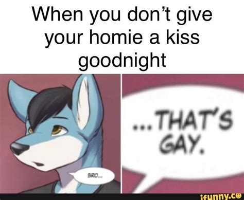 Furry Meme Male Furry Troll Funny Text Memes Kiss Goodnight Dumb