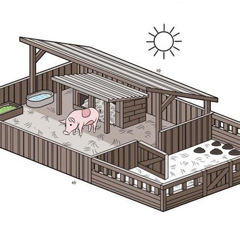 How To Set Up A Pig Pen Pig Farming Pig House Raising Pigs