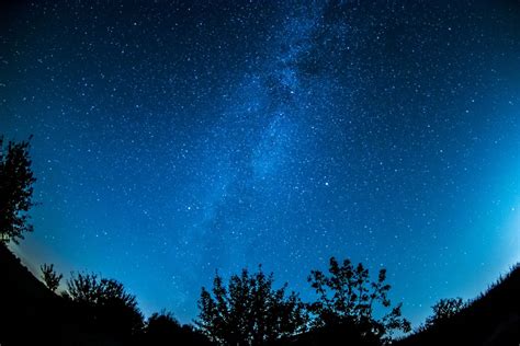 무료 이미지 숲 은하수 코스모스 조직 분위기 어두운 어스름 별자리 공간 밤하늘 오로라 장시간 노출 월광