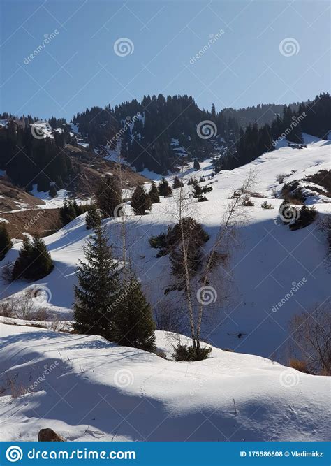 Snow In The Mountains In Early Spring Stock Photo Image Of Spring