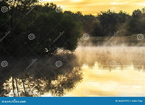 Misty Morning Sunrise Reflection In A Lake Stock Image Image Of