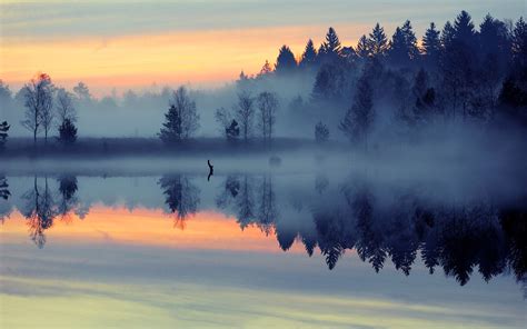 Nature Landscape Mist Sunrise Lake Forest Reflection Blue Trees