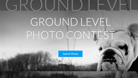 Weekly Contest Enter For Free And Grab Yourself A Year Of Smugmug Pro