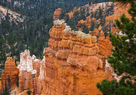 Bryce Canyon Panorama In The Us Stock Photo Image Of