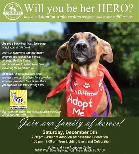 Adoption Ambassador Event And Orientation Humane Society Of Miami