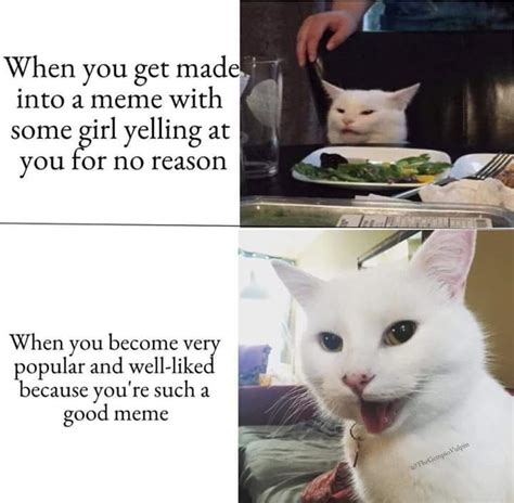 El Gato Blanco Meme Subido Por Natez Memedroid