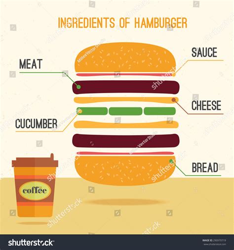 Hamburger Ingredients Vector Infographics Stock Vector Royalty Free