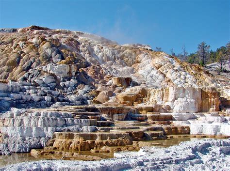 Best Time To See Mammoth Hot Springs In Yellowstone National Park 2024