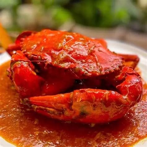 Resep Kepiting Saus Padang Asli Bumbu And Cara Membuat Kepiting Saus