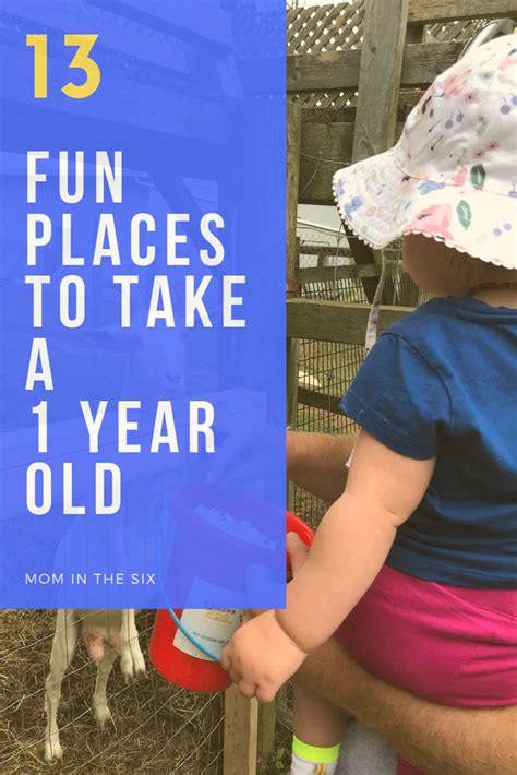 13 Fun Places To Take A 1 Year Old Activities For 1 Year Olds