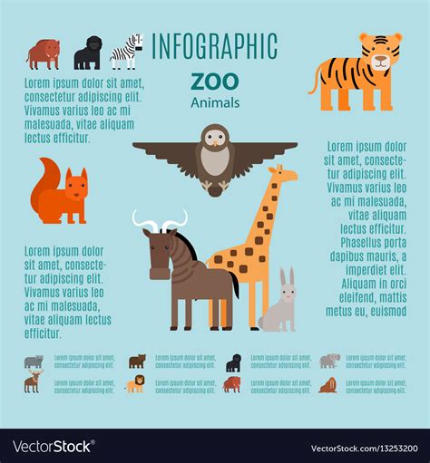 Zoo Animals Infographic Royalty Free Vector Image