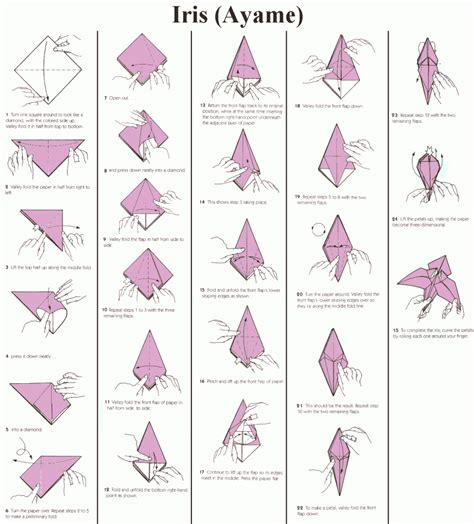 Como Fazer Origami Passo A Passo