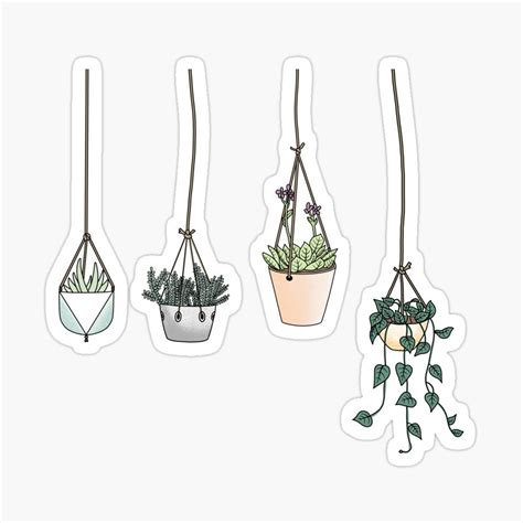Hanging Plant Aesthetic Sticker By Jamie Maher Aesthetic Sticker