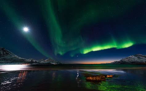Aurorae Nature Landscape Nordic Landscapes Sky Stars Outdoors