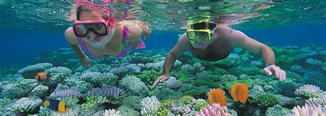 Great Barrier Reef Tours Cairns Discovery Tours