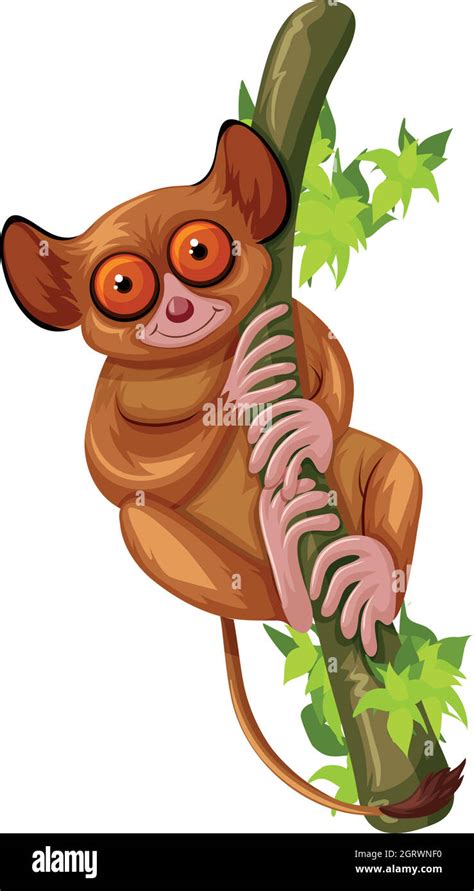 Cute Loris On The Green Branch Stock Vector Image And Art Alamy