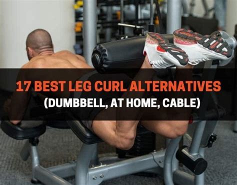 17 Best Leg Curl Alternatives Dumbbell At Home Cable