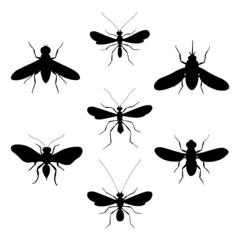 Premium Vector Vector Fly Silhouette On White Background