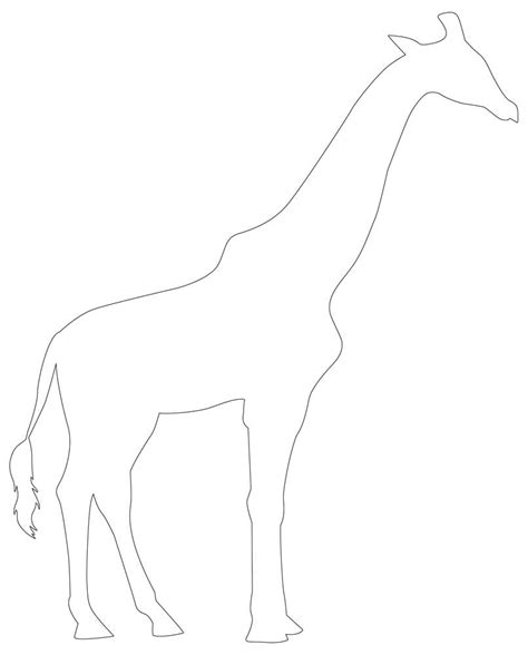 Zoo Animal Outlines 28 Outlines Of Printable Zoo Animals