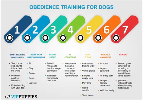 Puppy Obedience Training Start Obedience Training Today Vip Puppies