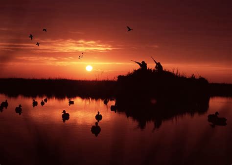 1920x1080 ducks flying over water 1920 x 1080 download close. Visit Lake Charles, LA: Duck Hunting in SWLA
