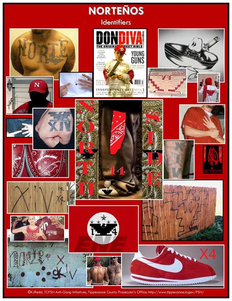 A collage of product identifiers and tattoos of the Nortenos gang