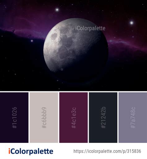 161 Outer Space Color Palette Ideas In 2020 Icolorpalette Paletas