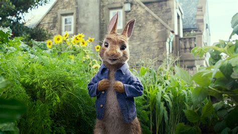 Peter Rabbit Exceeds Expectations By Staying True To Iconic Book Series